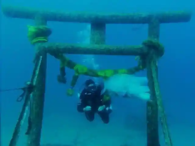 Scuba Diver Rings Underwater Bell And Waits For His Best Friend To Come