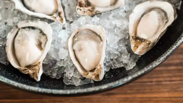 Oysters