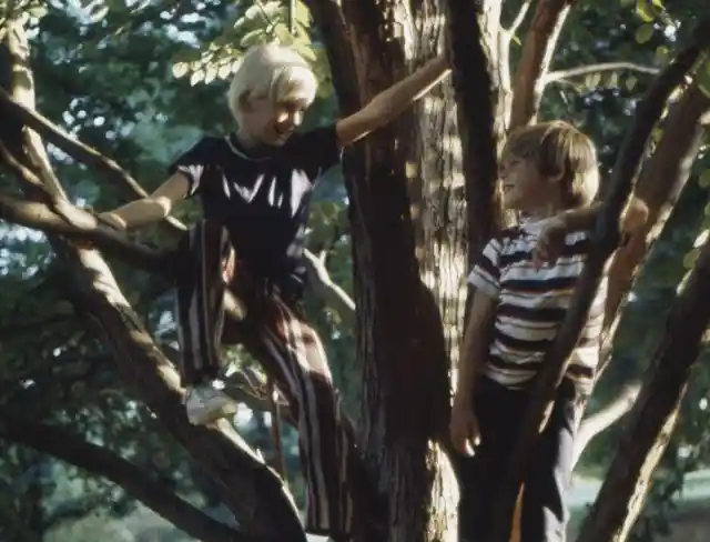 How A Game Of Hide And Seek Turned Into A Living Nightmare