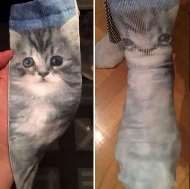 #14. Catstockings
