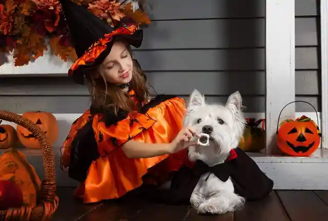 Horrifyingly Adorable Halloween Costumes For Pets