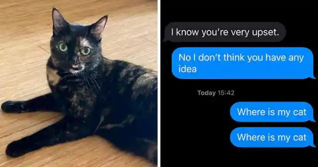 College Student Has His Parents Look After His Cat, But They Secretly Give Him Away