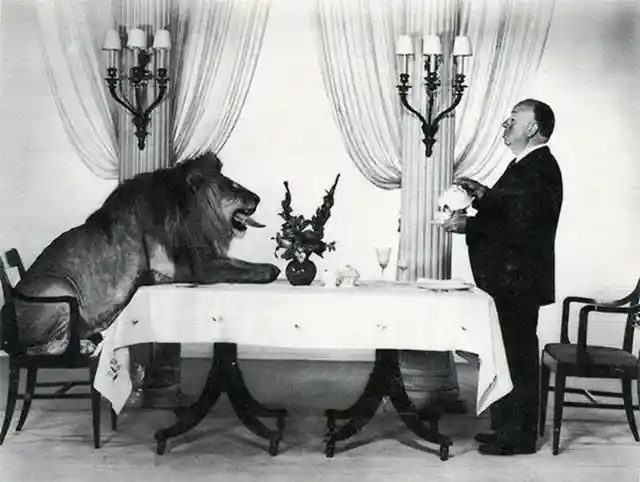 Alfred Hitchcock & The MGM Lion