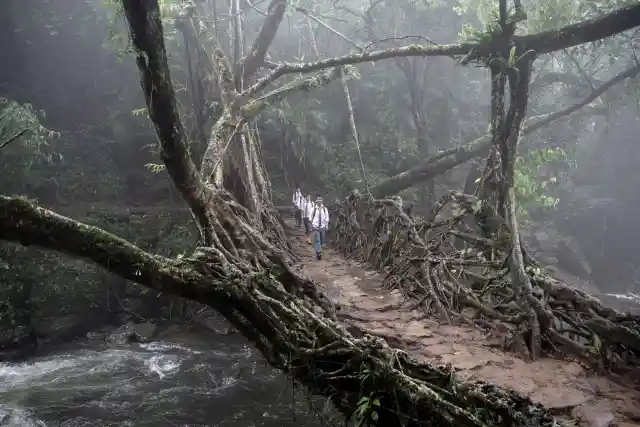 East Khasi Hills Of Meghalaya