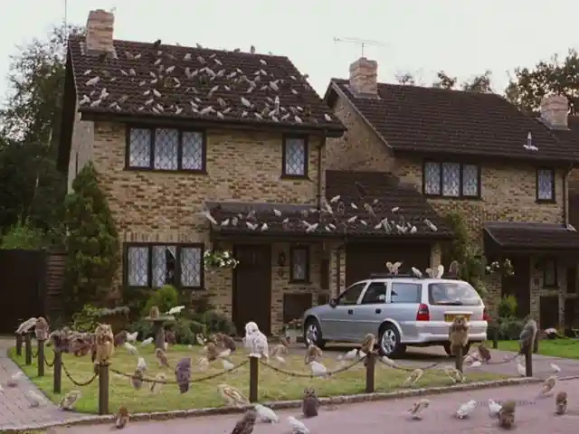 The Harry Potter House