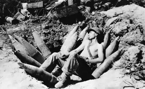 1950: Bed Of Shells
