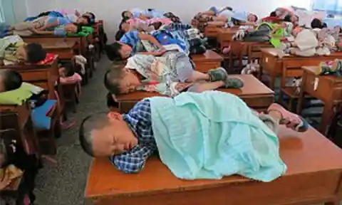 The Importance Of Napping