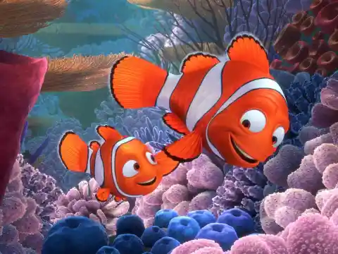 #8. Finding Nemo