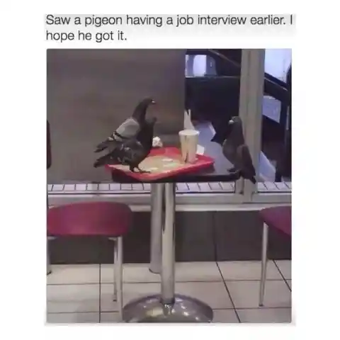 Job Interview