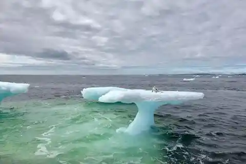 #18. Watch Out For The Iceberg
