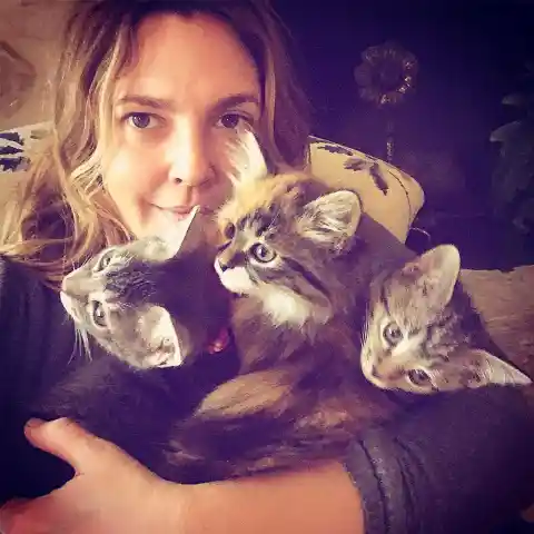 #2. Lucky, Peach, and Fern