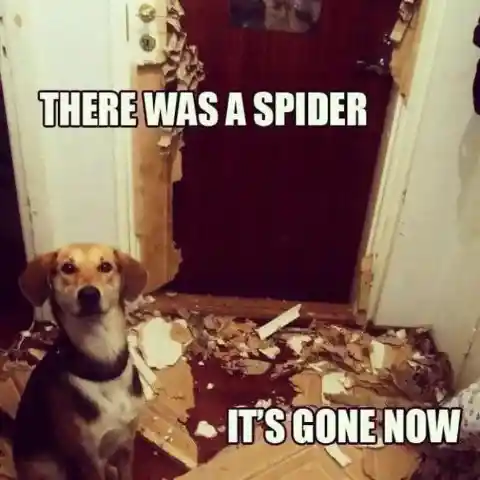 It Exploded