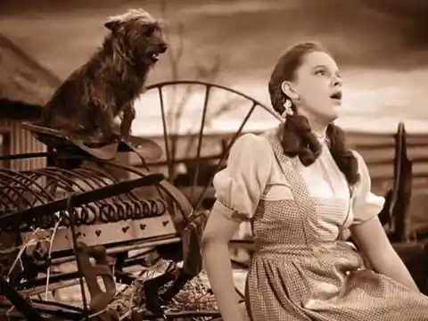 #14. The Wizard of Oz