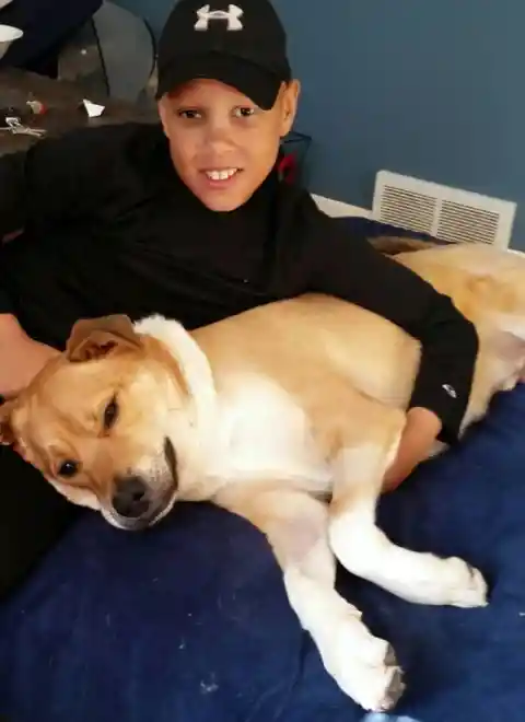 #13. Bullied Boy Saved By Rescue Dog