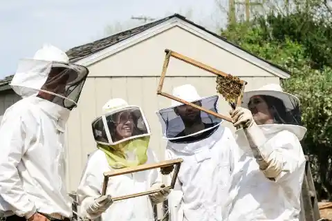 Beekeepers