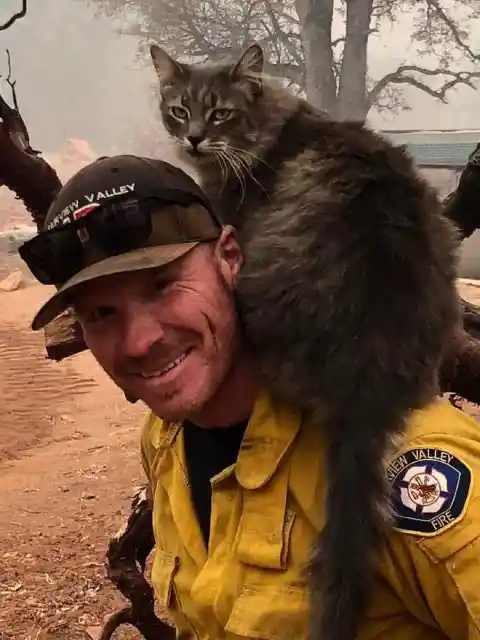 #16. The Cat Who Adopted A Firefighter