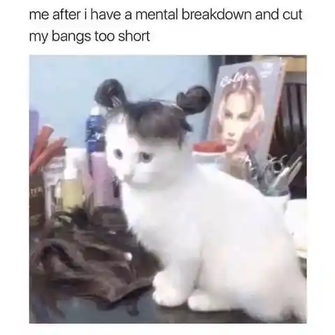 New Hair, New Me