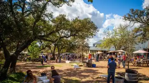 Jester King Brewery - Austin, Texas