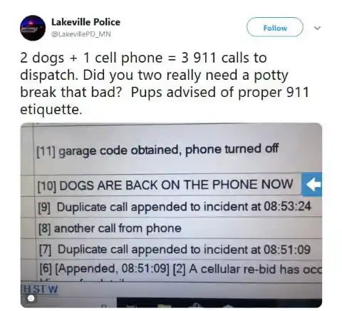 Two Dogs And A Cell Phone