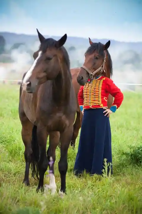 Real-Life Bojack