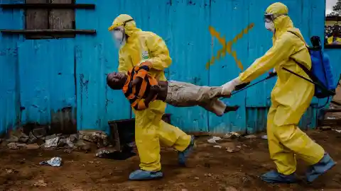 Ebola Epidemic In West Africa, 2015