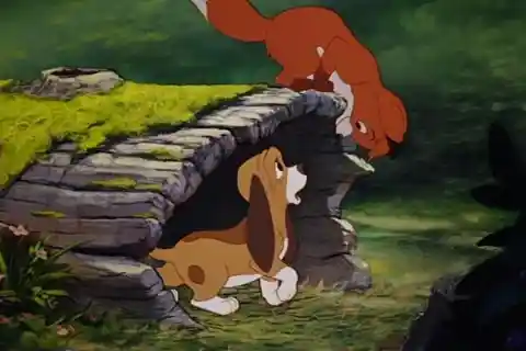Fox And The Hound