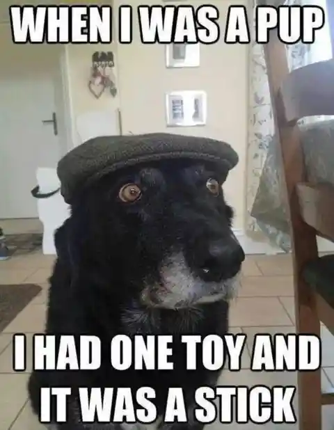 Let Me Tell You My Story