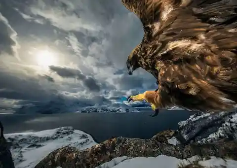 Land Of The Eagle By Audun Rikardsen