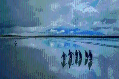 #10. Kings Of The Sand