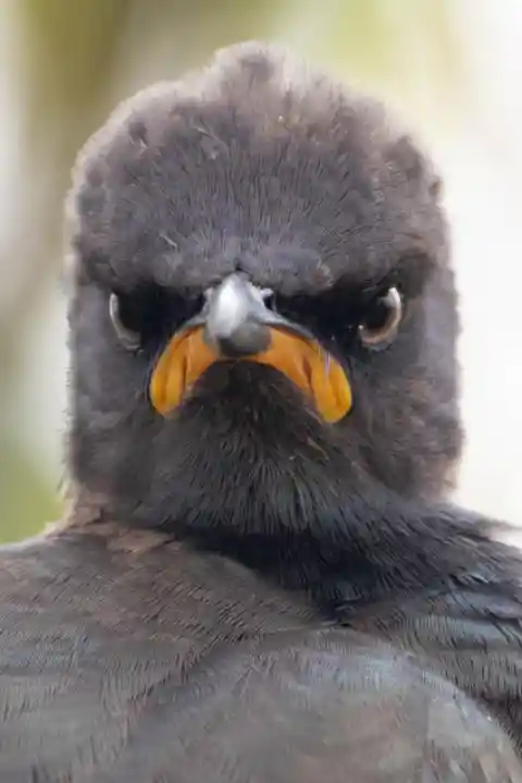 Monday Mood