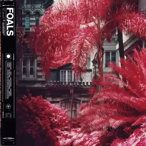 #6. Foals