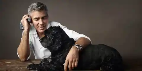 #6. George Clooney