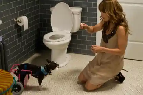 #5. Jennifer Lopez&rsquo;s Toilet Seat