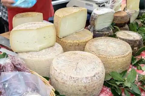 Maggot Cheese - Italy