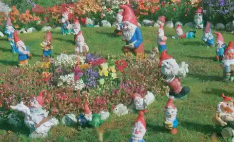 The Garden Gnomes