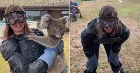 #1. Woman Protects Herself From "Deadly" Koala