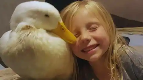 #5. Best Friends With A Duck