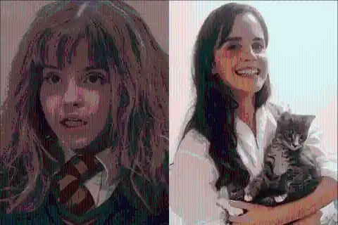 #7. Emma Watson: Hermione Granger