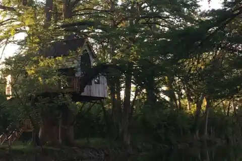 Treehouse Utopia