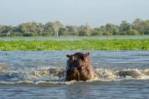 Selous Game Reserve