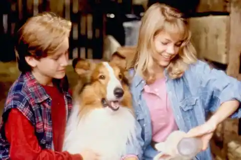#4. Pal &ndash; <em>Lassie</em>