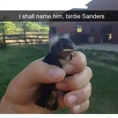 Birdie Sanders