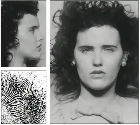 Black Dahlia