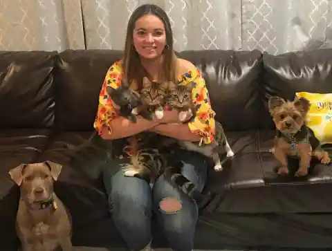The Happy Pet Mom of Five