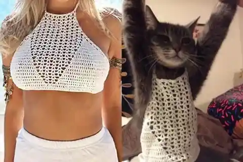 #7. Not Even For Your Cat