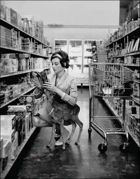 #4. Audrey Hepburn Does Shopping With Her Favourite Pet