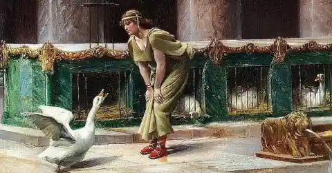 #23. Geese Prevented The Fall Of The Roman Empire