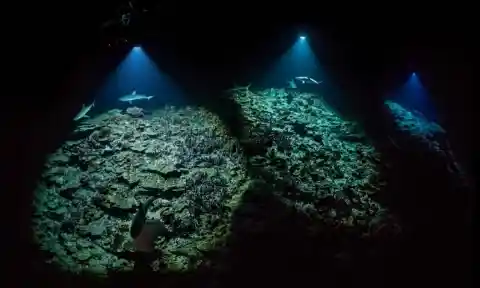 #1. Against The Tide