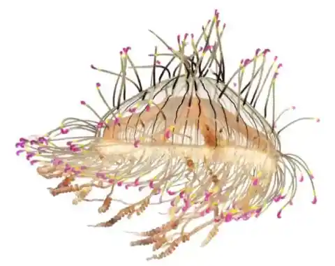 #16. The Colors Beneath The Sea