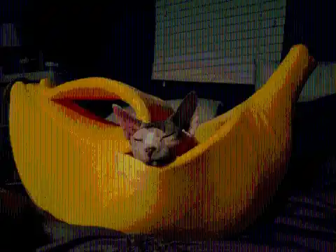 #21. A Banana-Shaped Pet Bed
